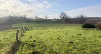 von_poll_real_estate_property_25053180_image_14