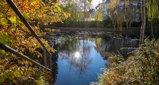 von_poll_real_estate_property_25053149_image_20