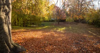 von_poll_real_estate_property_25053149_image_19