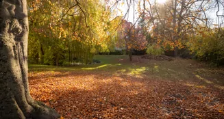 von_poll_real_estate_property_25053149_image_19