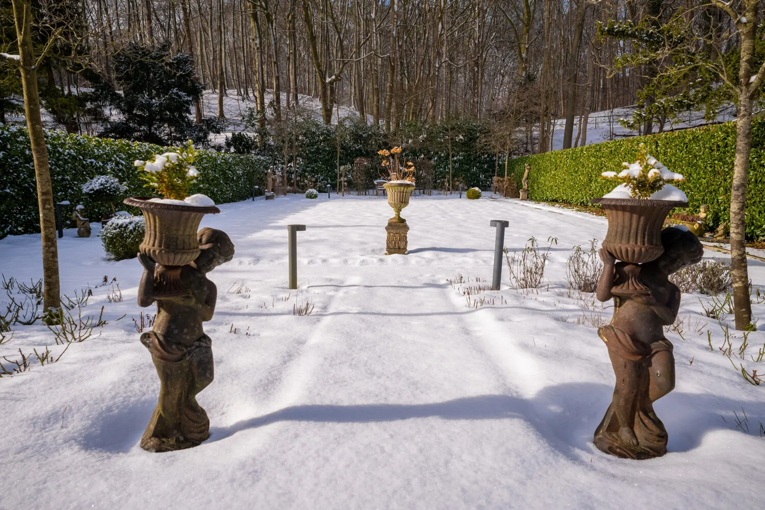 Blick in den Garten