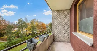 von_poll_real_estate_property_25053148_image_9