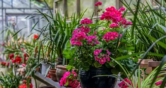 von_poll_real_estate_property_25053075.10_image_7