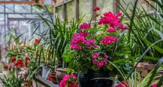 von_poll_real_estate_property_25053075.10_image_7