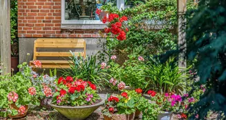 von_poll_real_estate_property_25053075.10_image_0