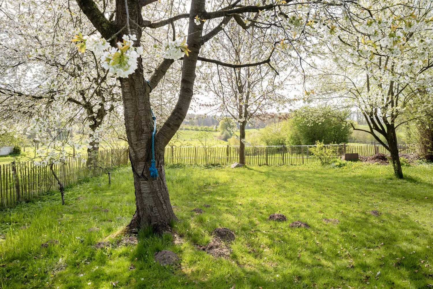 Garten - Feldrandlage