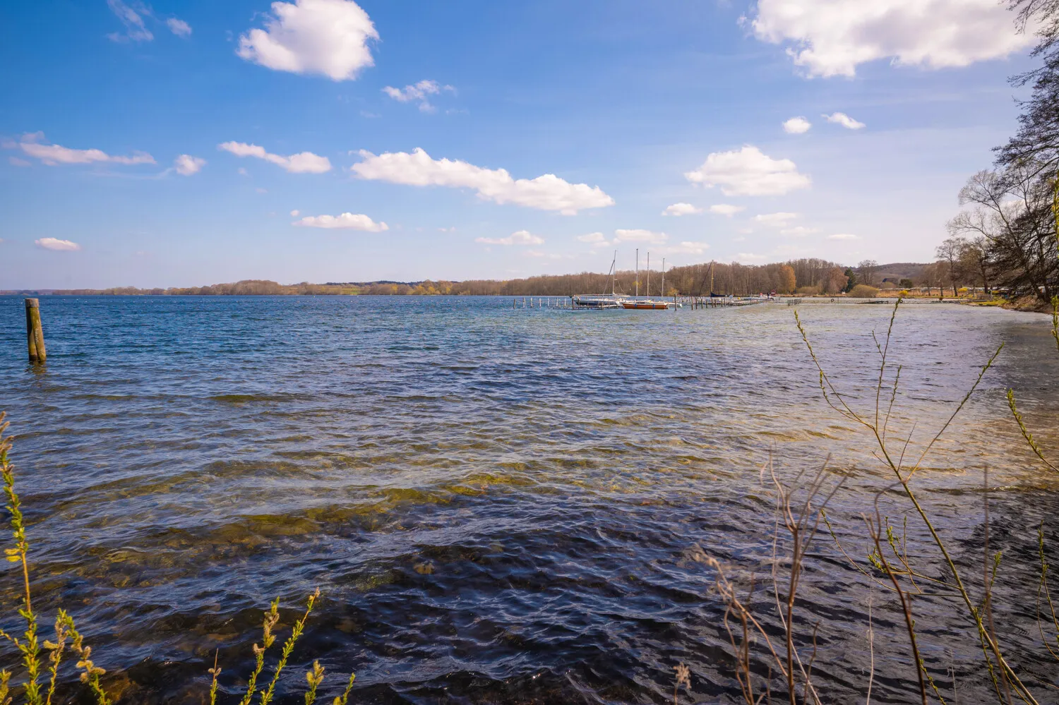 Ufer Großer Plöner See