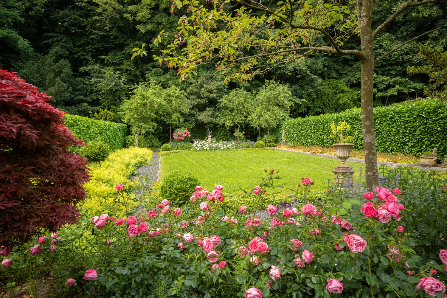 Gartenimpression