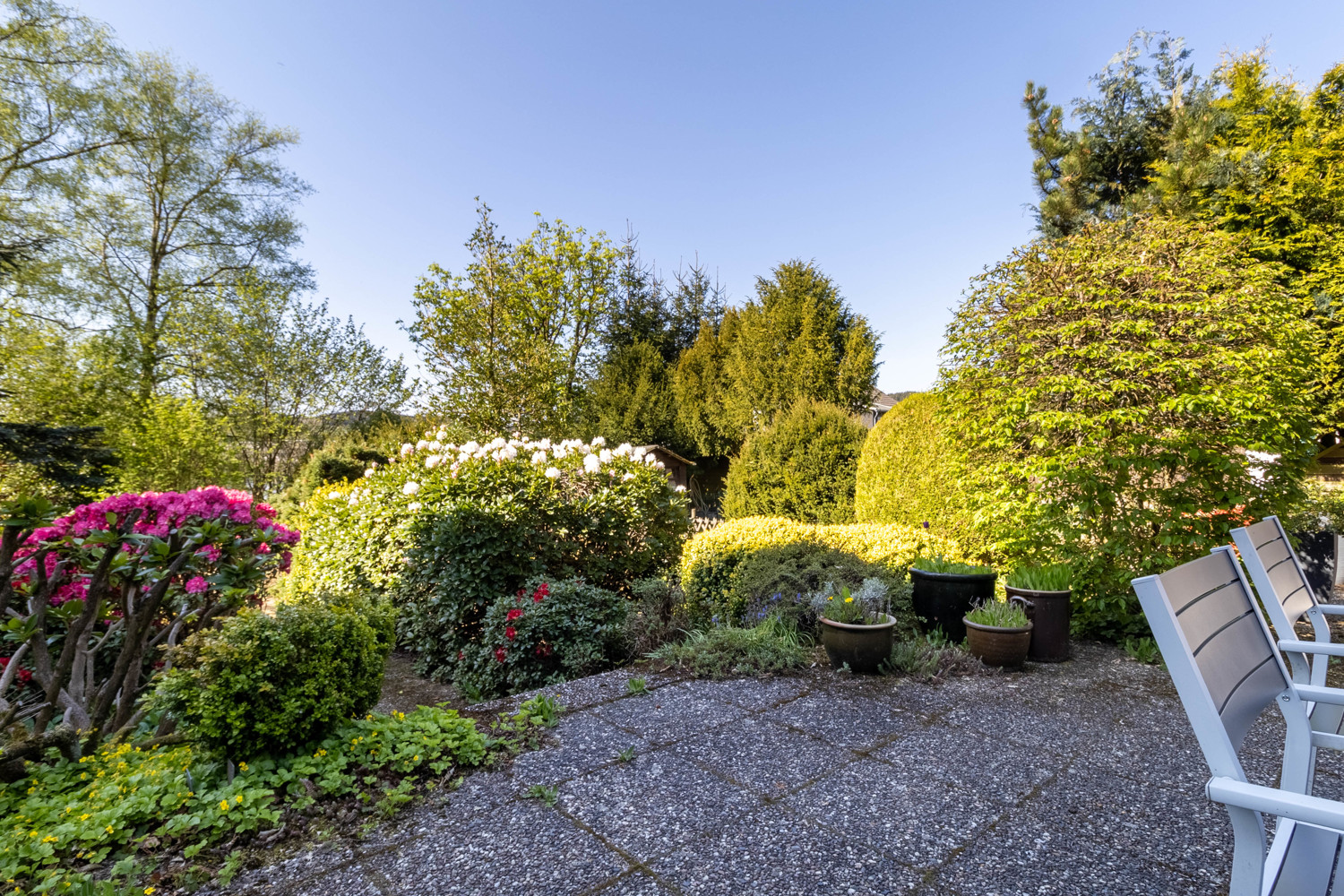 Garten 1