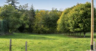 von_poll_real_estate_property_25126034_image_1