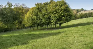 von_poll_real_estate_property_25126034_image_0