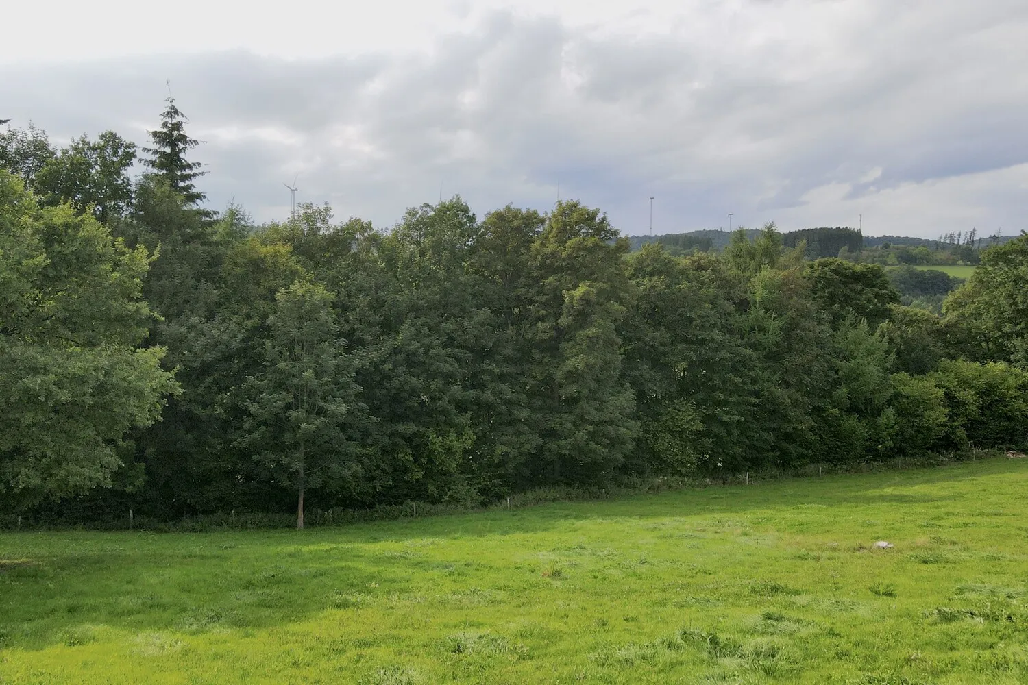Ansicht 1
