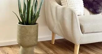 von_poll_real_estate_property_25198029_image_2