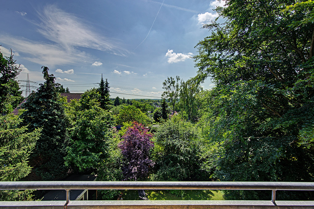Fernblick