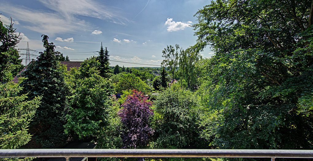 Fernblick