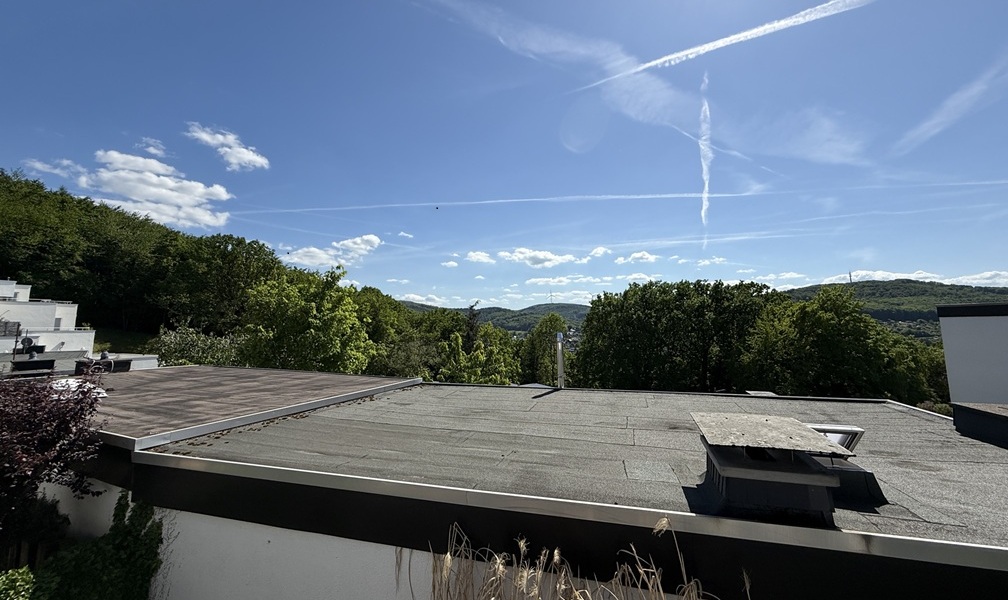 Fernblick
