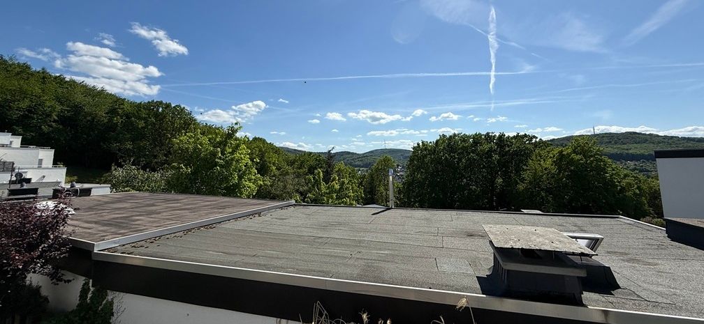 Fernblick