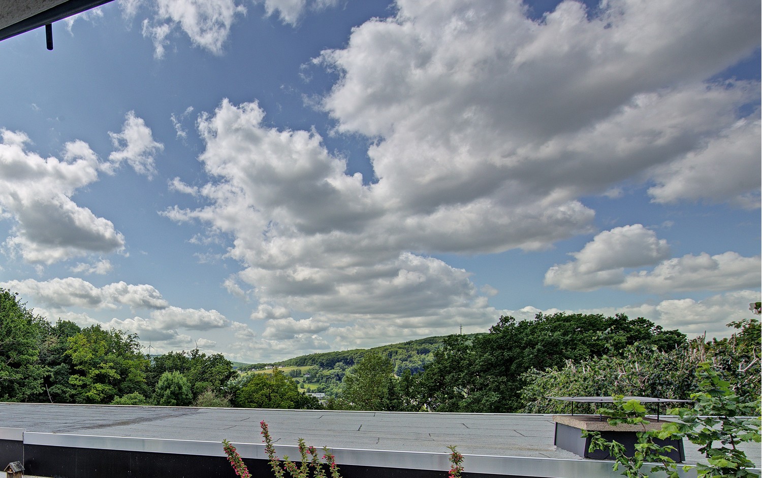 Fernblick