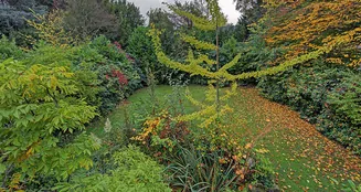 von_poll_real_estate_property_25034089_image_17