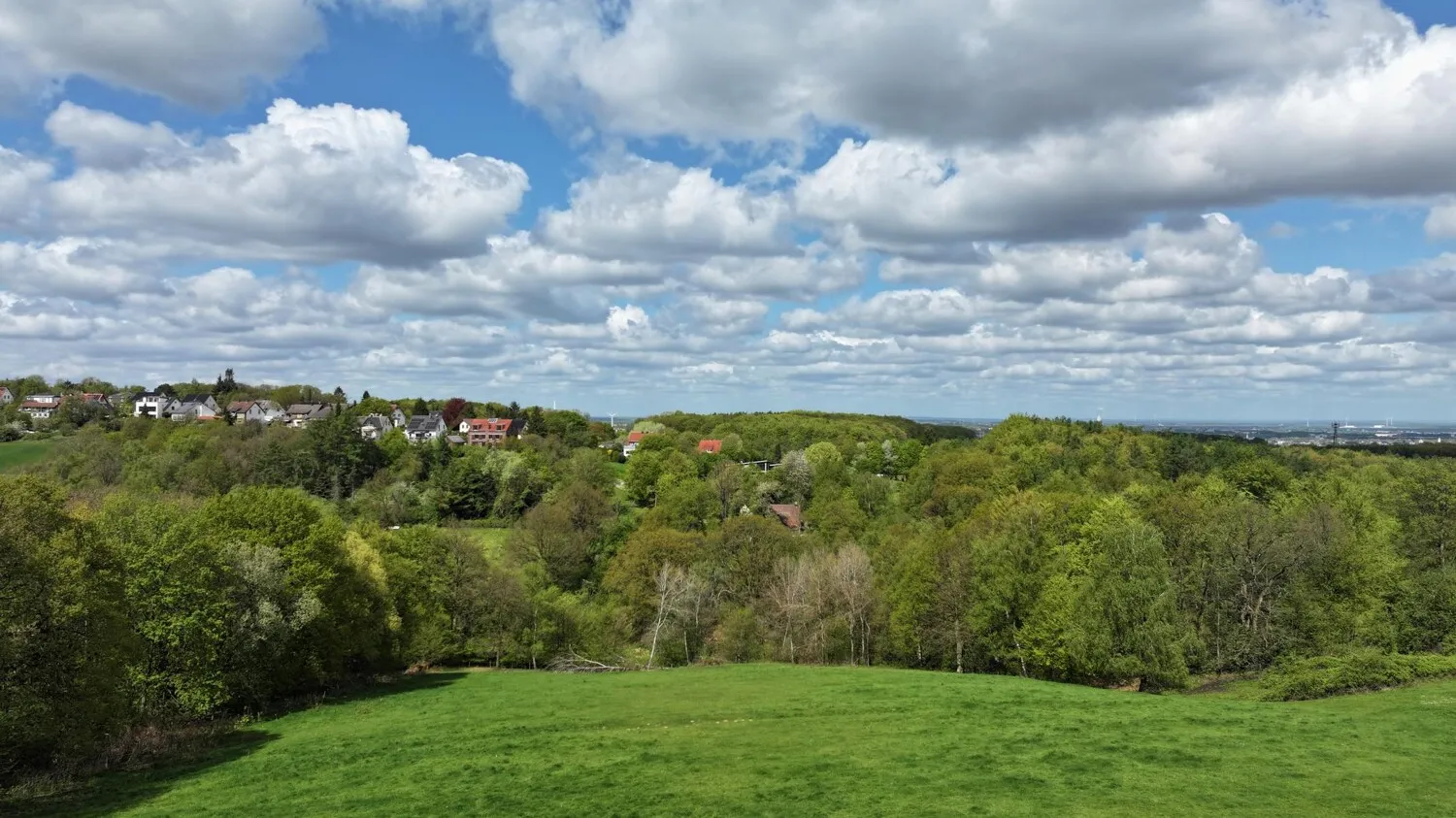 Fernblick