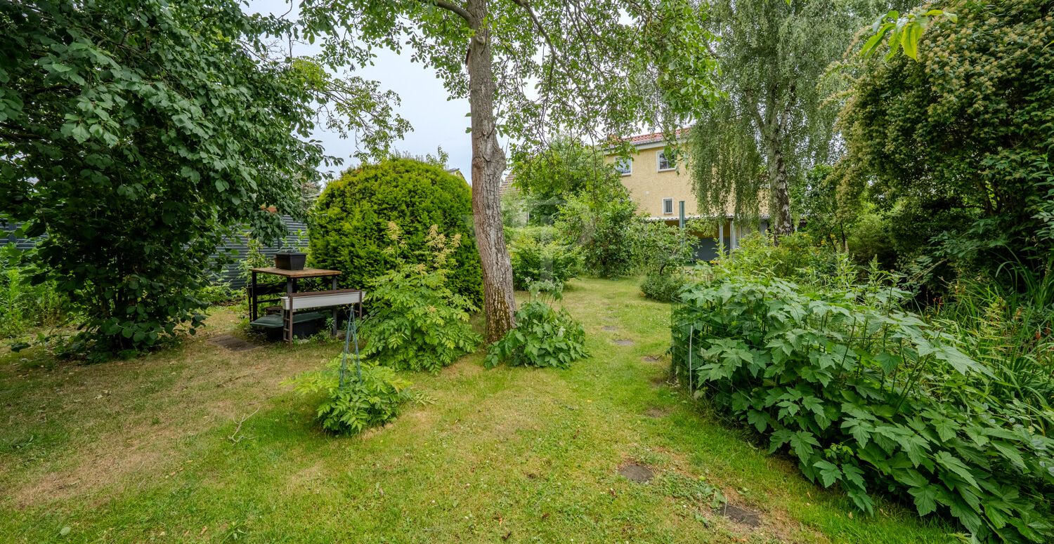 Blick zum Haus