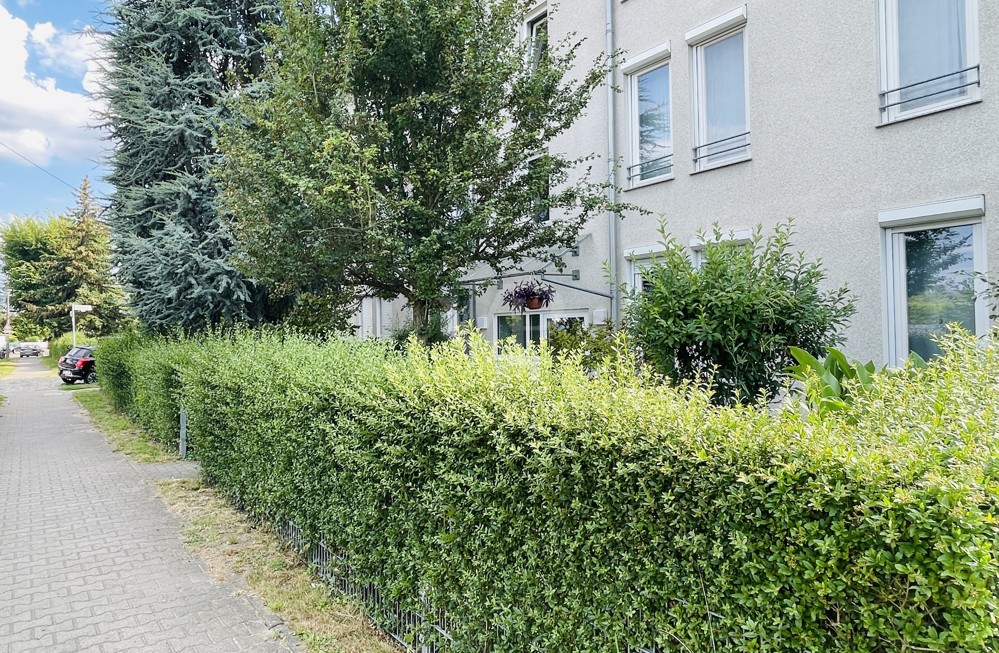 gepflegter Vorgarten