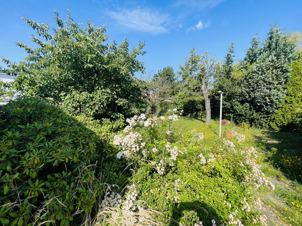 großer Garten