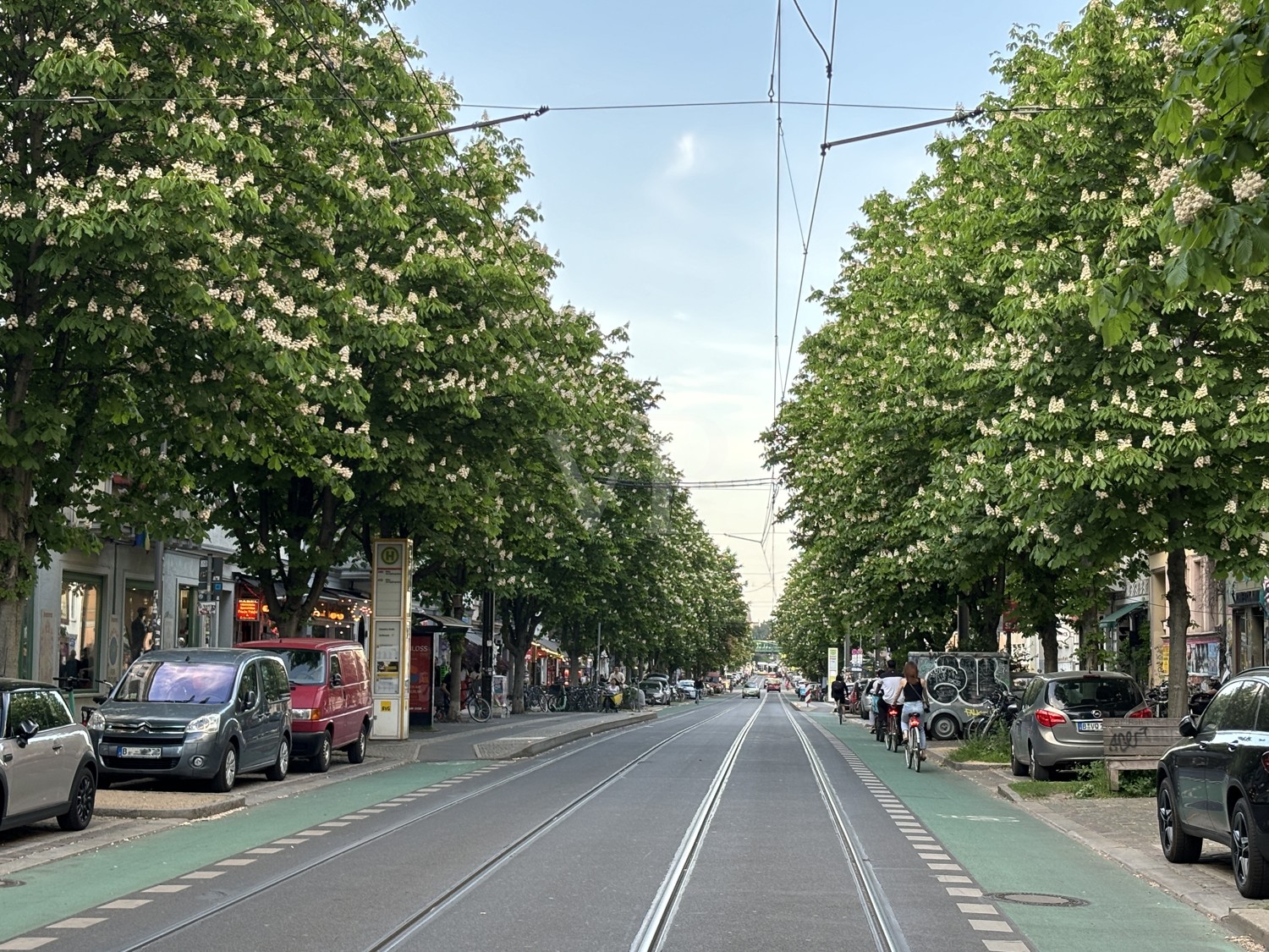 Kastanienallee Blick Richtung Schönhauser Allee