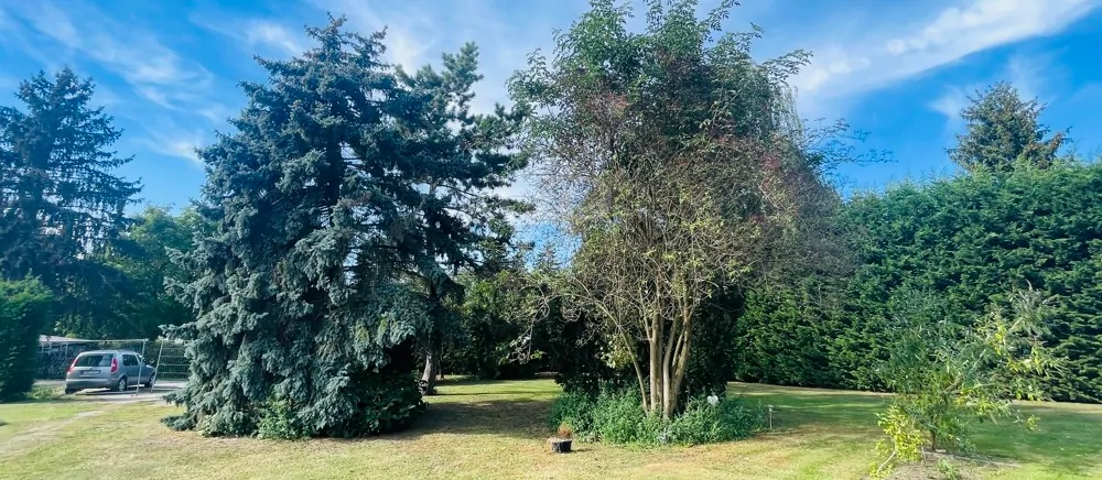 Traumhaftes Grundstück