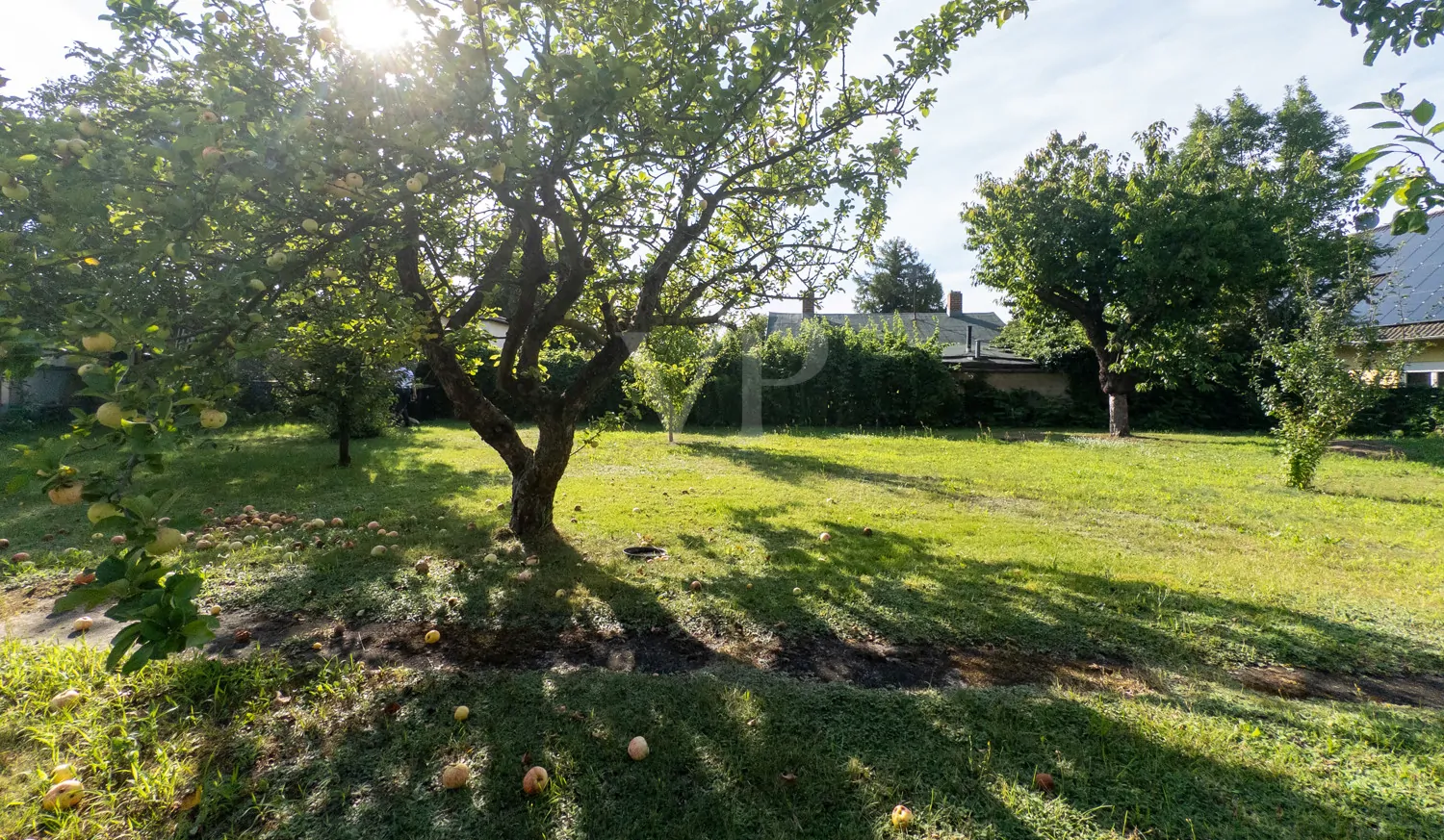 unverbauter Südblick für lange Sonnenstunden