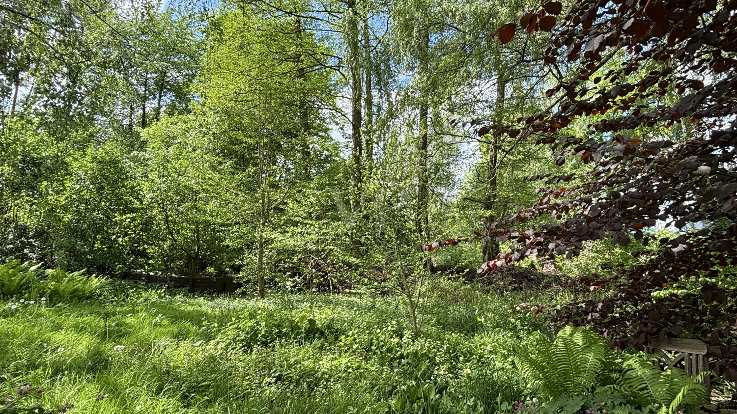 herrlicher Naturgarten