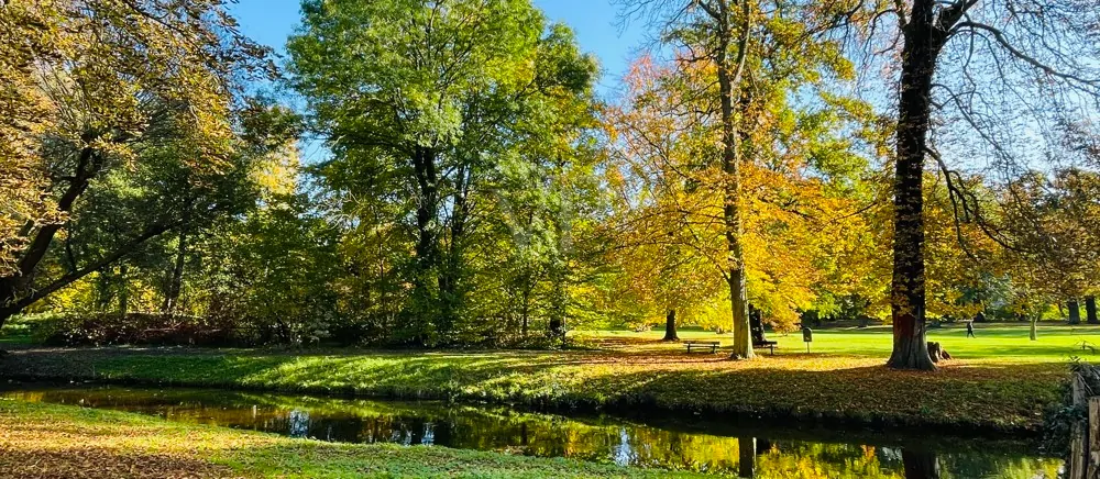 Die Panke im Schloßpark
