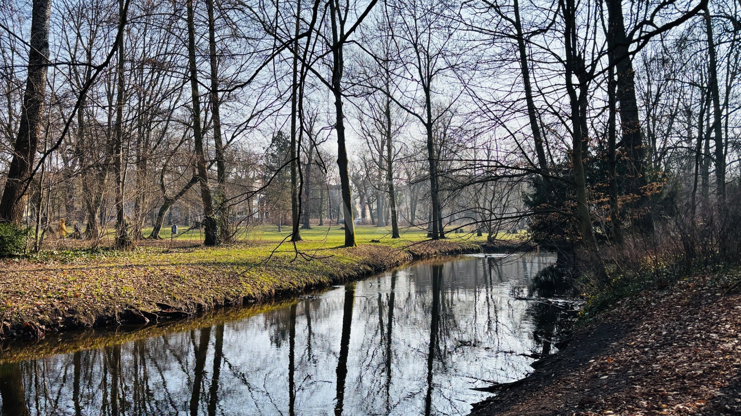 Die Panke im Schlosspark