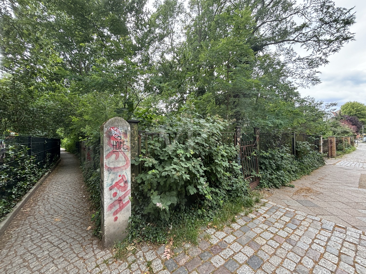 Blick zum verwilderten Grundstück