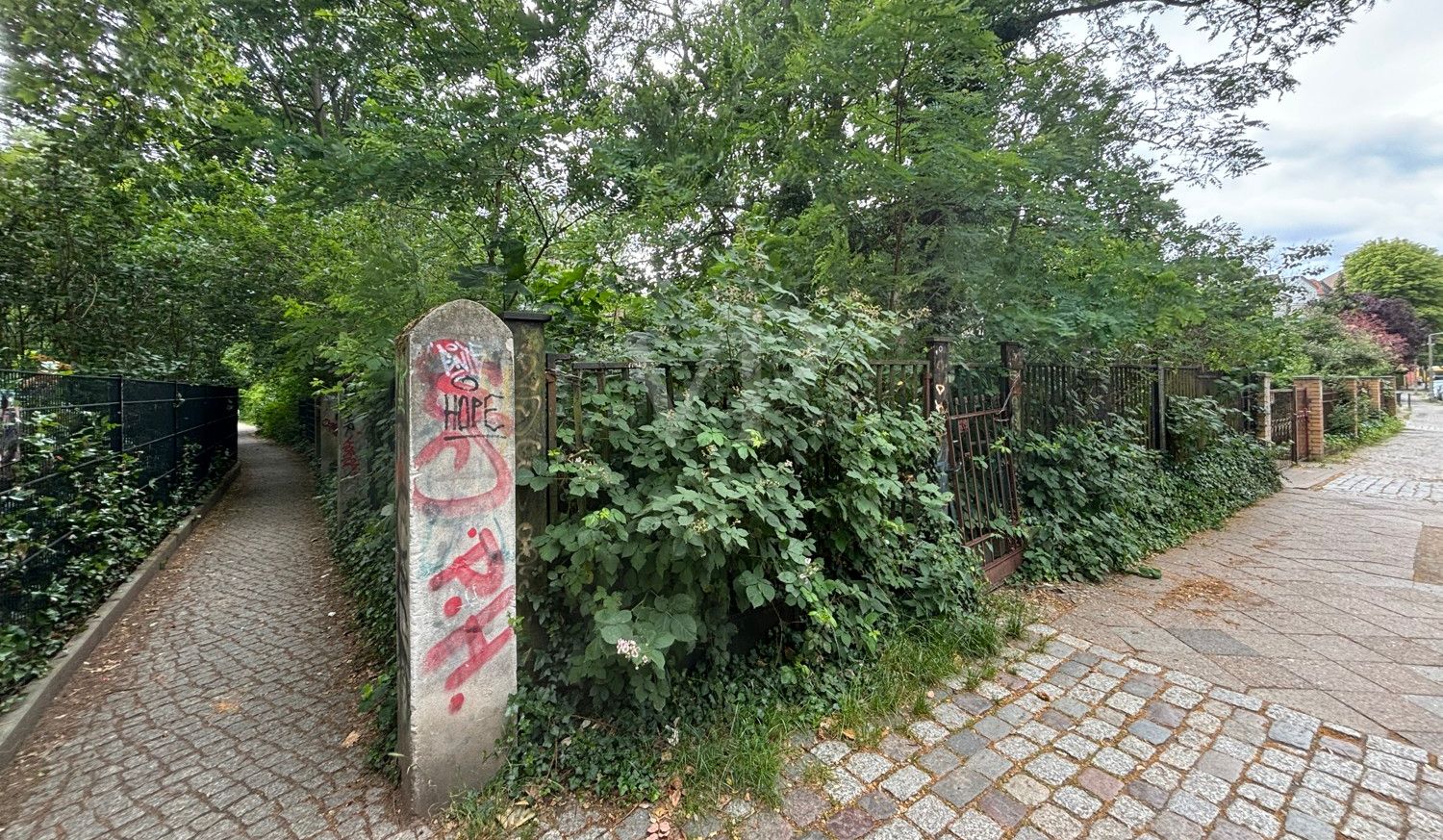 Blick zum verwilderten Grundstück