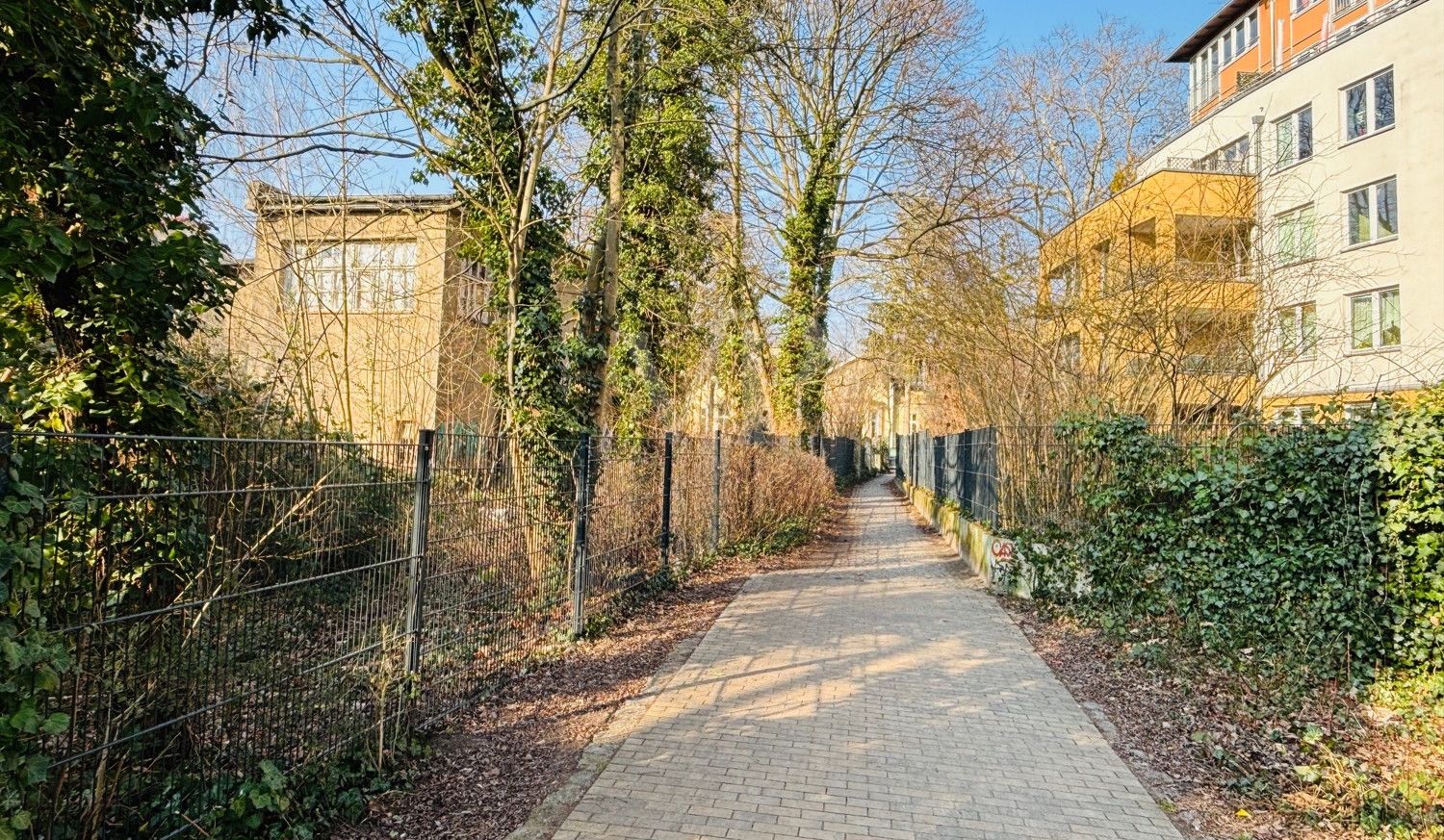 Blick vom Paule Park