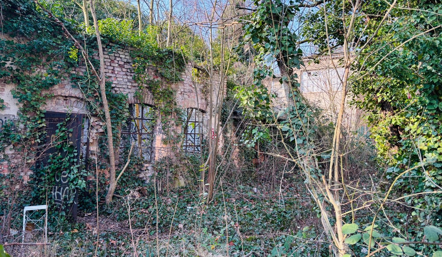 verwildertes Grundstück
