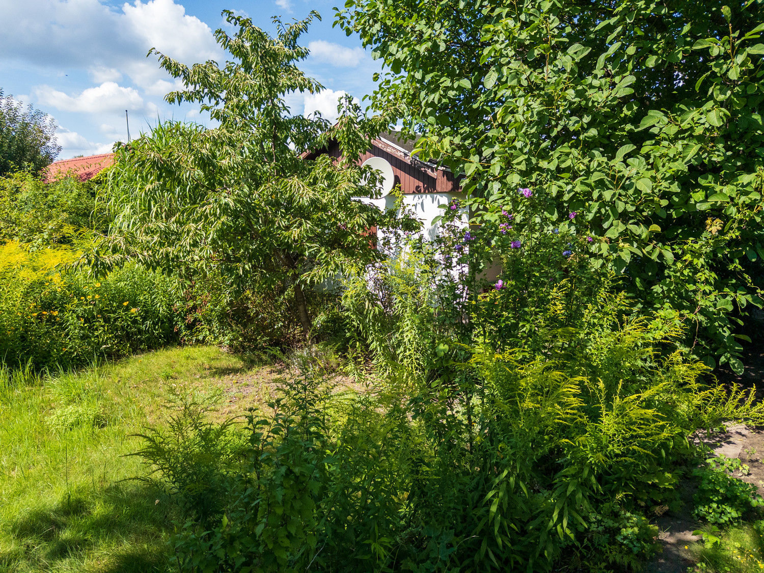 Garten