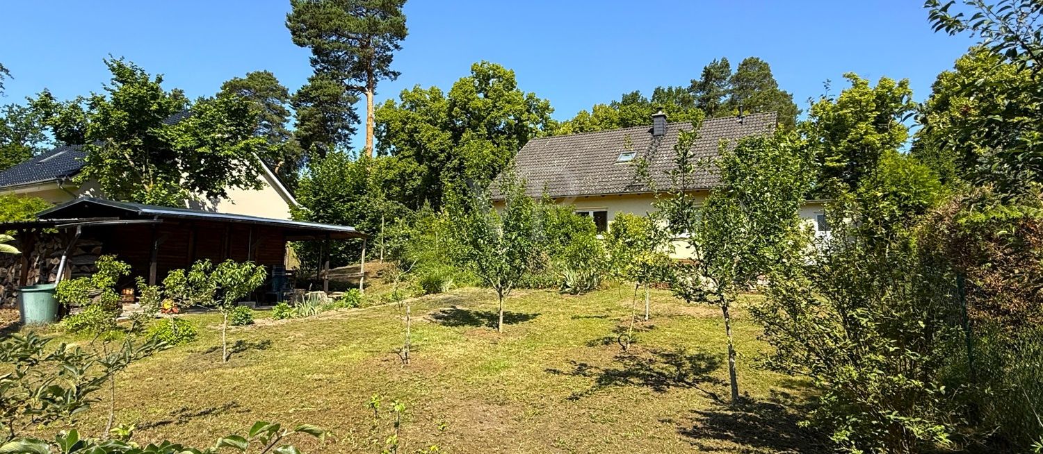 Blick aus dem Garten
