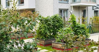 von_poll_real_estate_property_25071006-13A_image_4