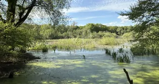 von_poll_real_estate_property_25071045_image_17