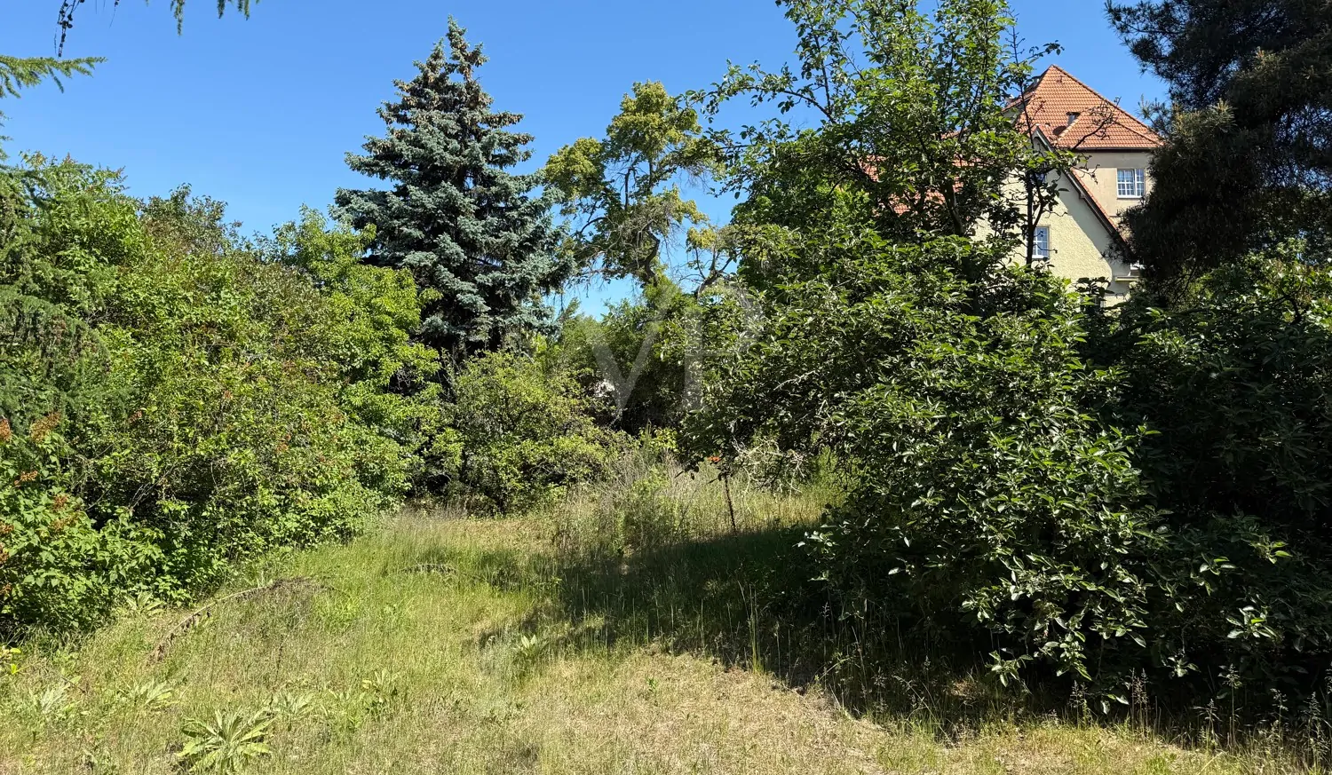traumhaftes Grundstück