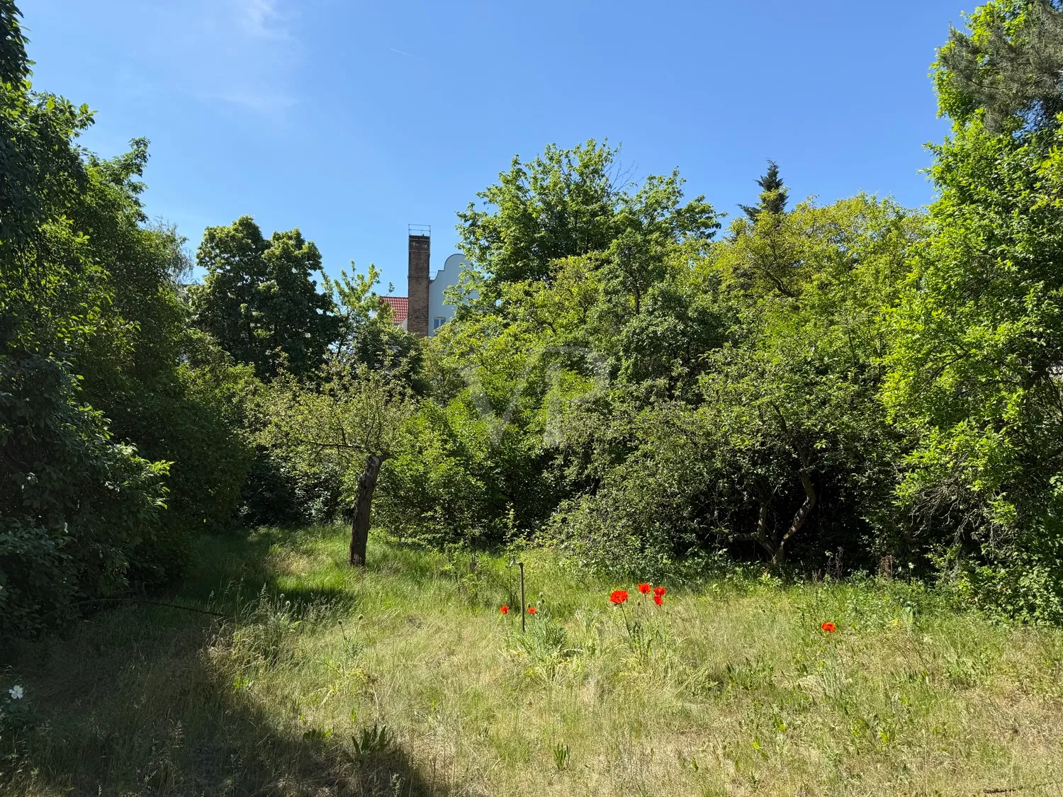 idyllische Lage