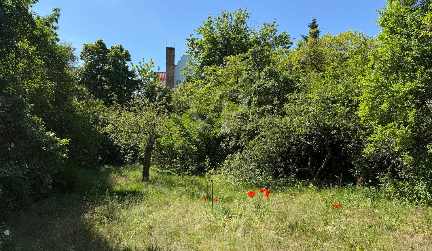 idyllische Lage