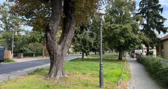 von_poll_real_estate_property_25071066_image_21