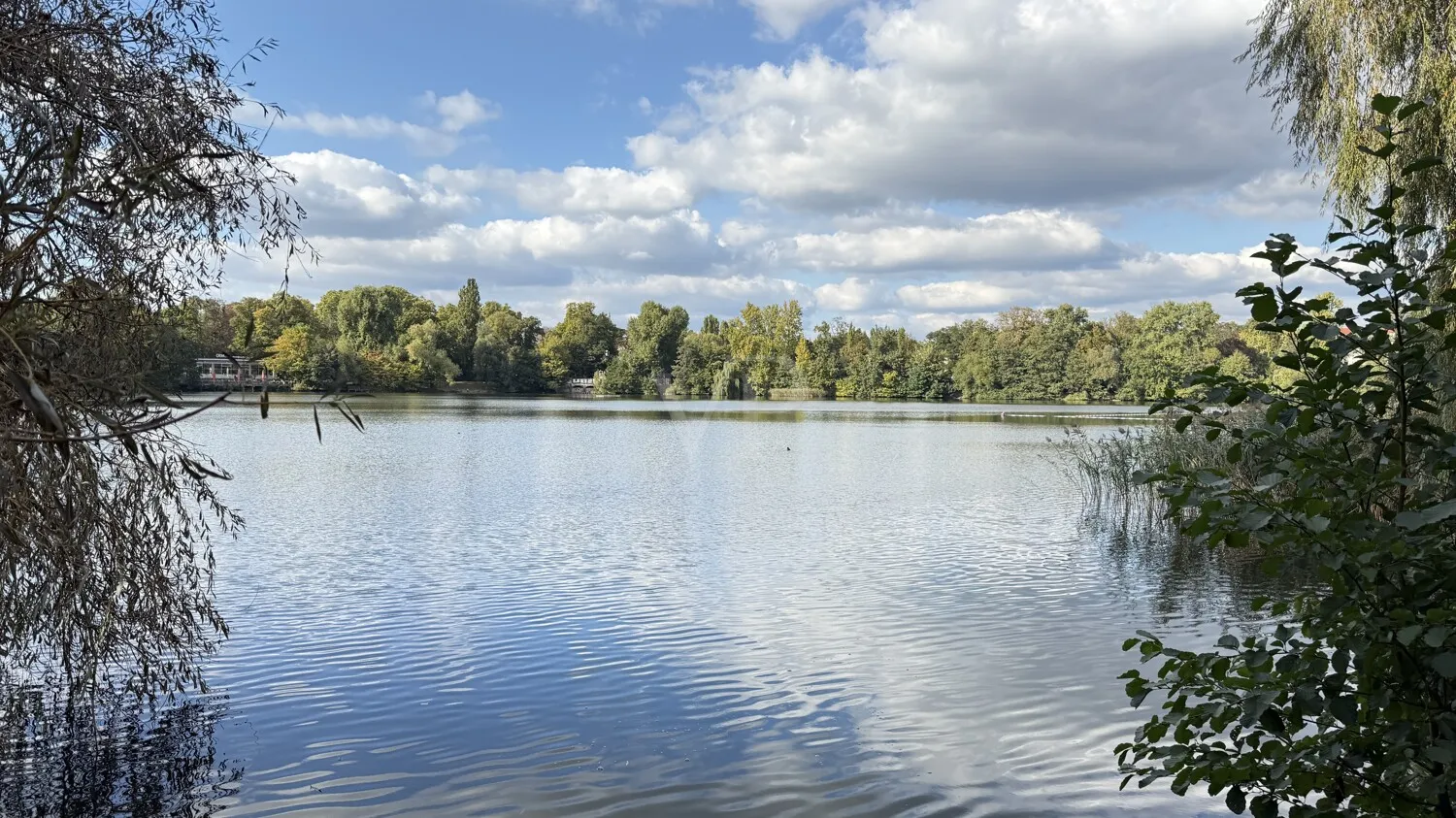 Uferblick Weißer See