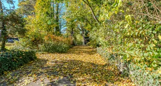 von_poll_real_estate_property_25071056_image_10