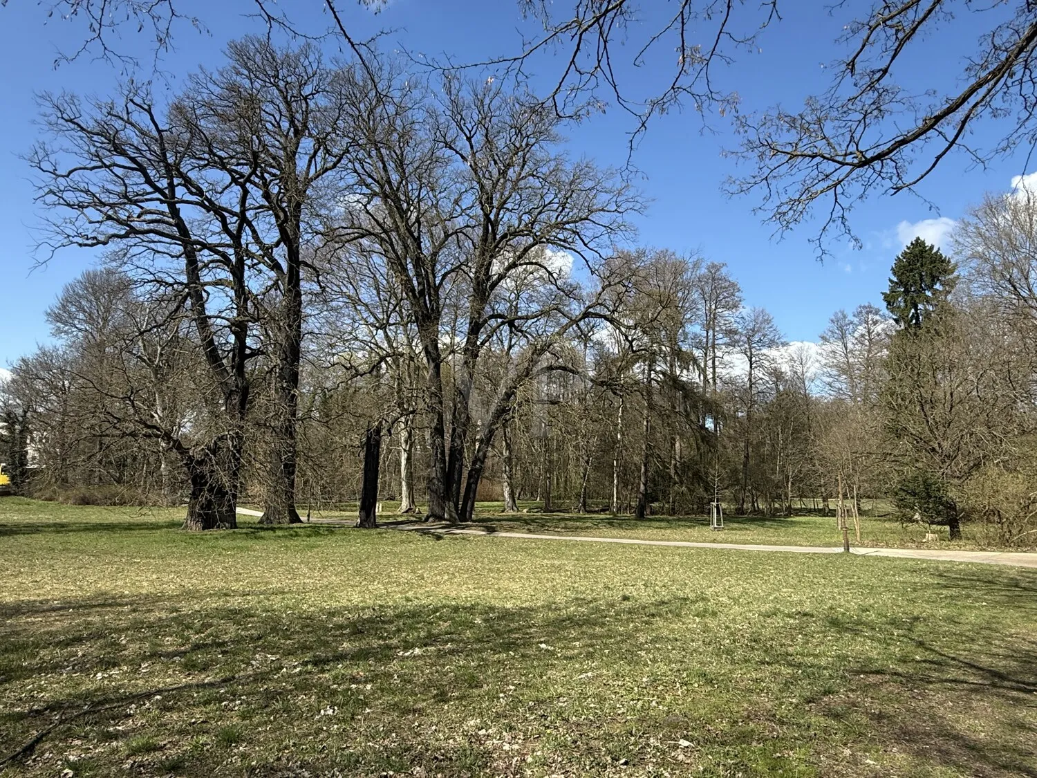 Schlosspark Buch