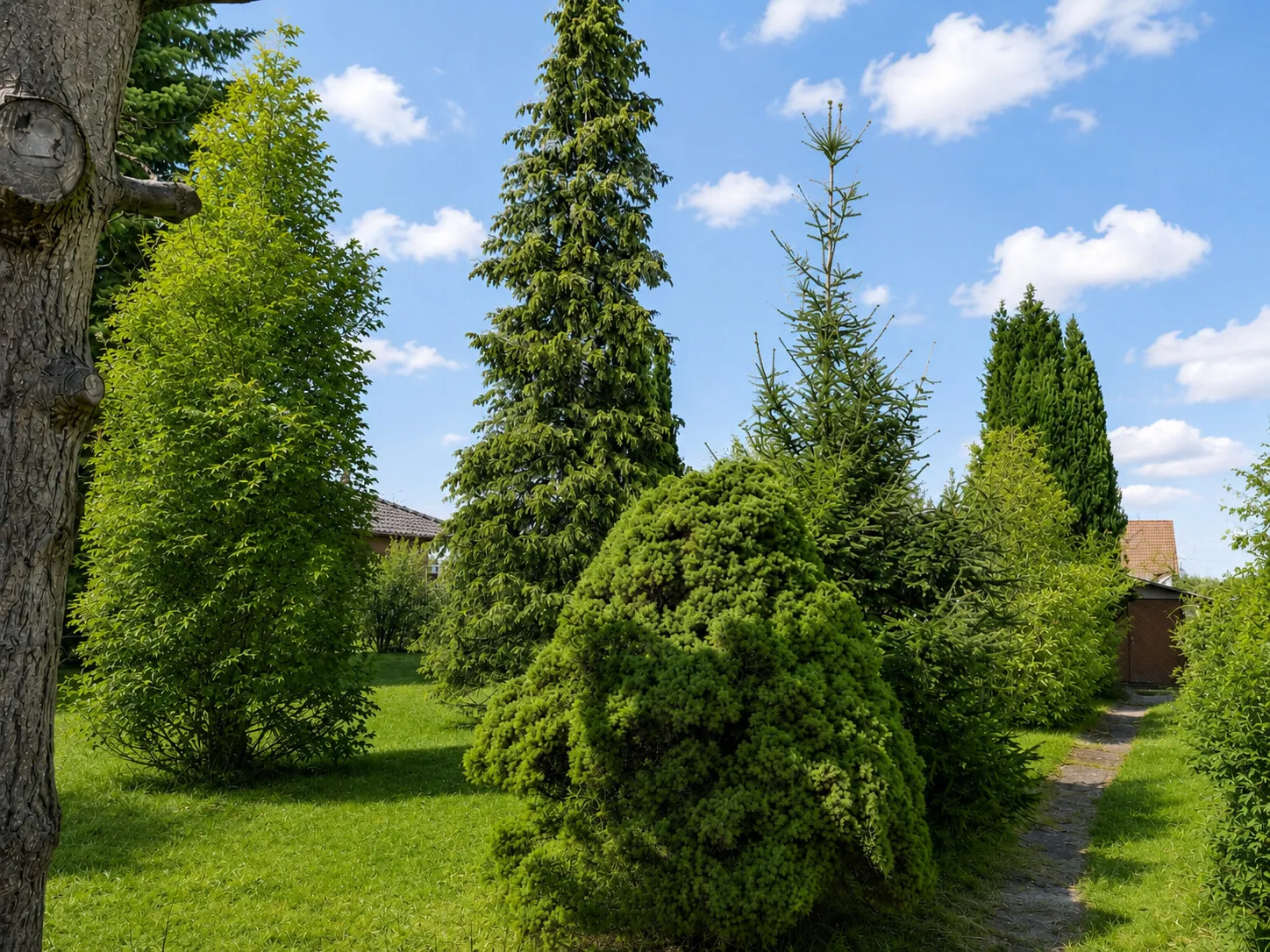 Garten