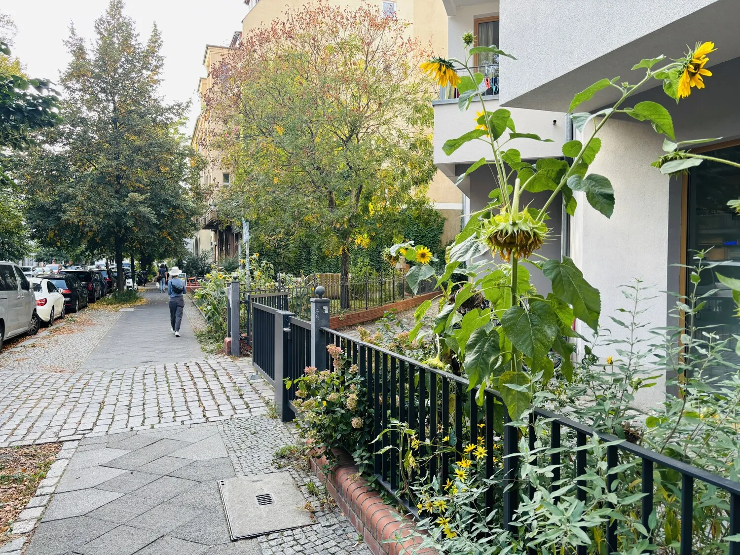 Herbst im Florakiez